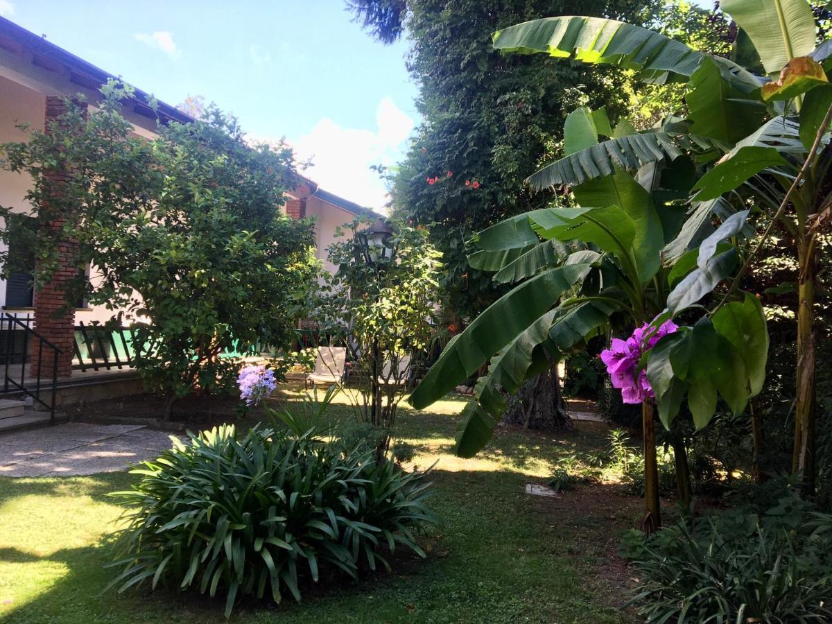 Casa Vacanze Gabbianella Villa Con Giardino Lungolago Maderno Toscolano Maderno Ngoại thất bức ảnh
